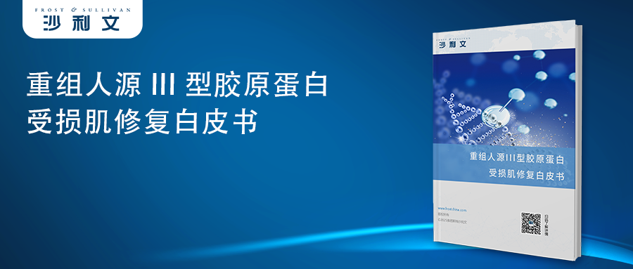 沙利文发布《重组人源III型胶原蛋白受损肌修复白皮书》